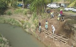 La stabilisation de berges se poursuit sur le bassin versant de la rivière de Galion.